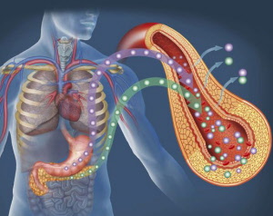 diabetes-mdl-001