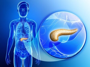 pancreas-001
